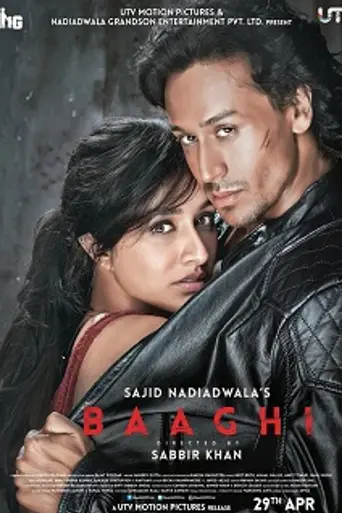 Baaghi: A Rebel For Love (2016)