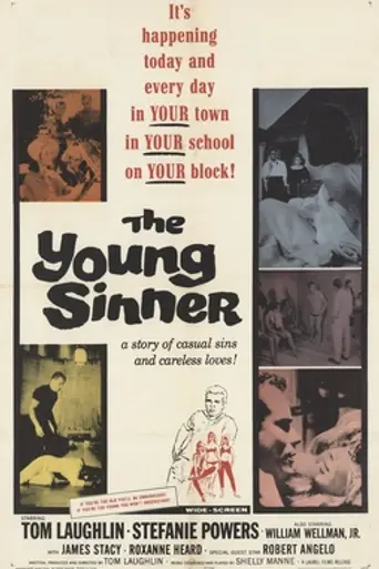 The Young Sinner (1965)