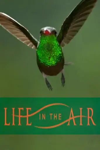 Life in the Air (2016)