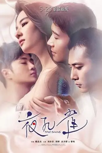 Le Paon de Nuit (2015)