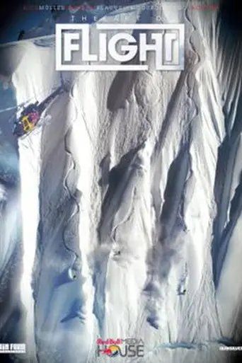 The Art of Flight (2011)