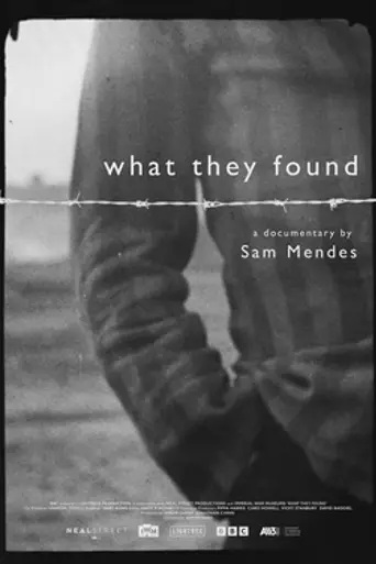 What They Found (2025)