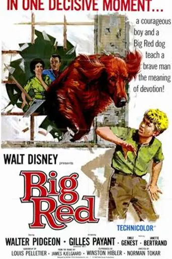 El campeón (1962)