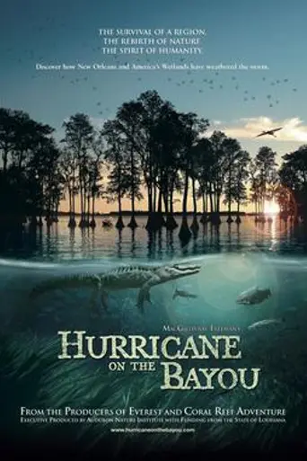 Hurricane on the Bayou (2006)