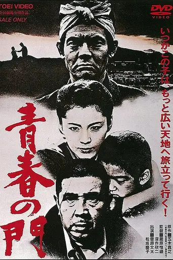 The Gate of Youth (1981)