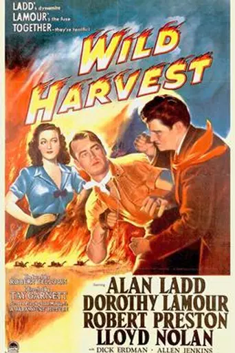 Wild Harvest (1947)