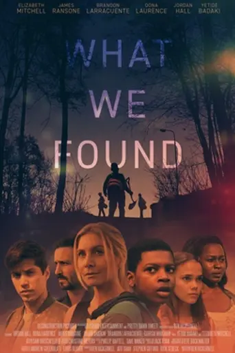 What We Found (2020)