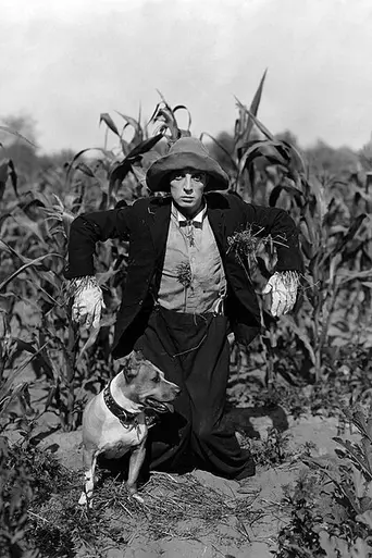 The Scarecrow (película de 1920) (1920)