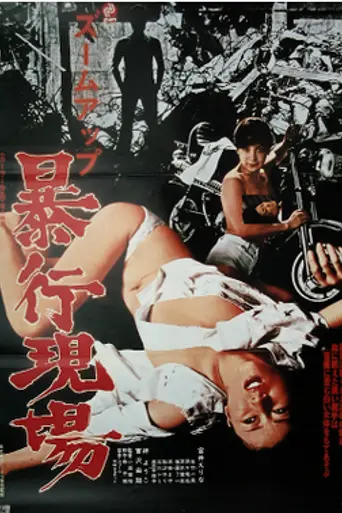 Zoom Up: Rape Site (1979)