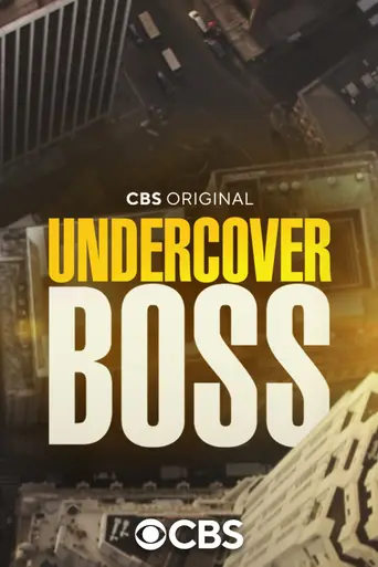 Undercover Boss (2010)