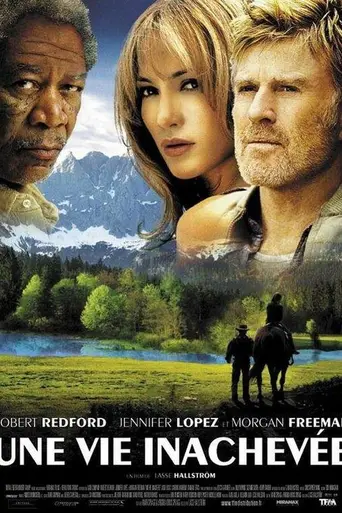 Незаконченная жизнь (2005)