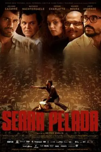 Bald Mountain (2013)