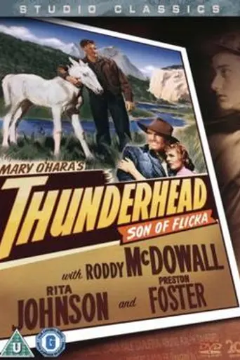 Thunderhead, Son of Flicka (1945)
