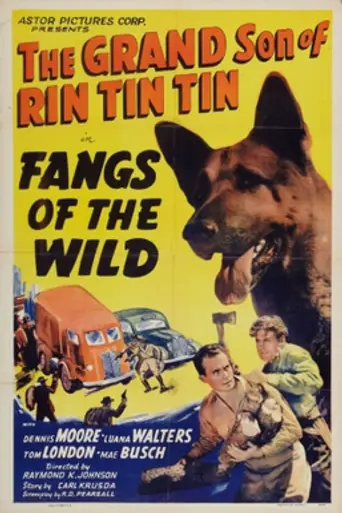 Fangs of the Wild (1939)