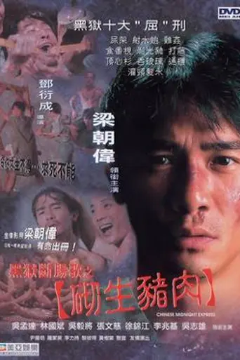 Chinese Midnight Express (1997)