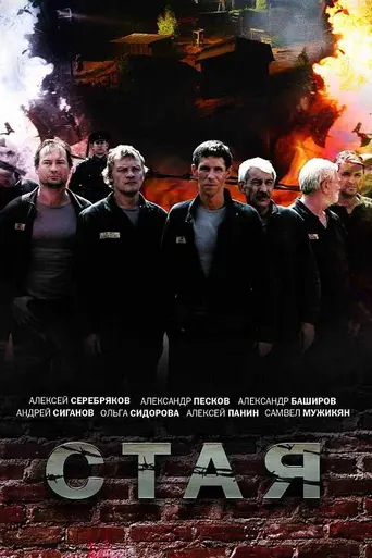 Стая (2009)
