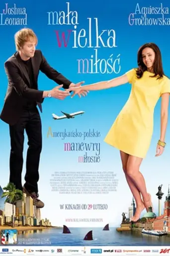 В ожидании любви (2008)