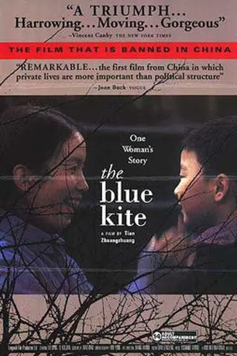 The Blue Kite (1993)