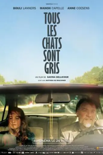 All Cats Are Grey (2015)