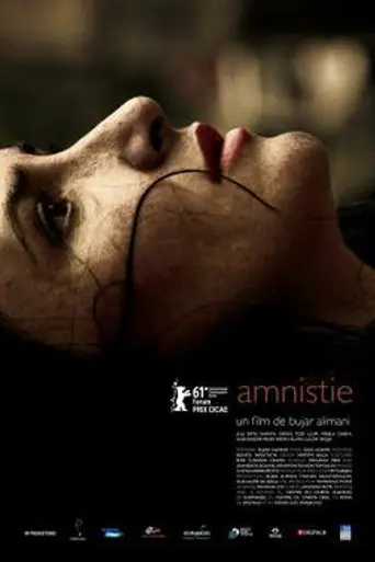 Amnesty (2011)