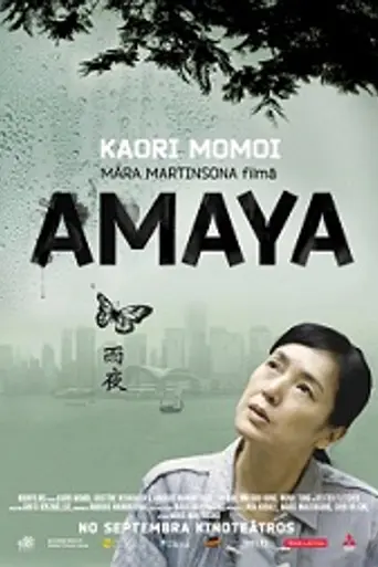 Гонконг, конфиденциально (2010)