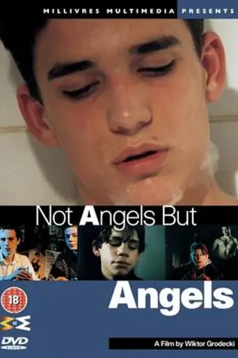 Not Angels But Angels (1994)
