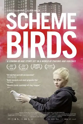 Scheme Birds (2019)