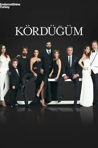 Kördüğüm (2016)