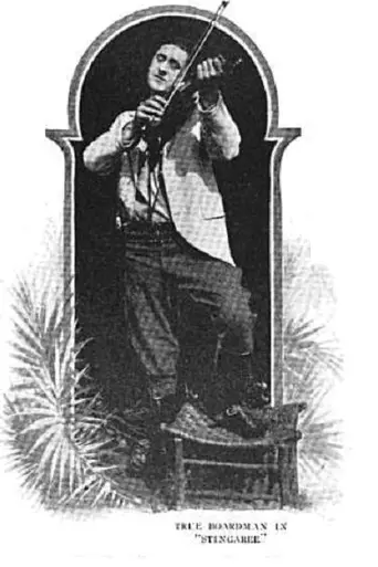 Stingaree (1915)