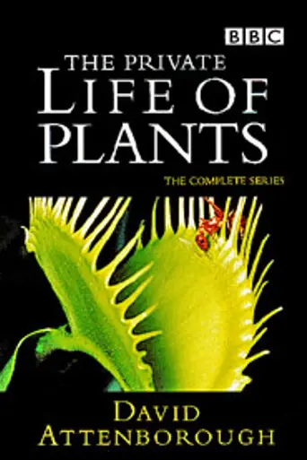 La vida privada de las plantas