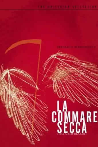 La commare secca (1962)
