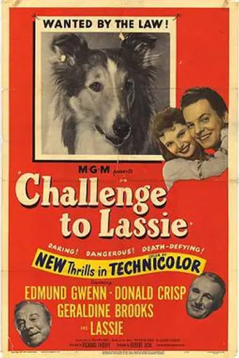 El desafío de Lassie (1950)