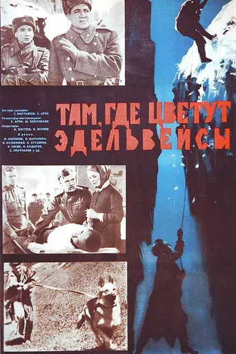 Там, где цветут эдельвейсы (1966)