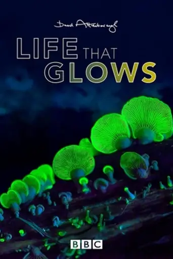 David Attenborough's Light on Earth (2016)