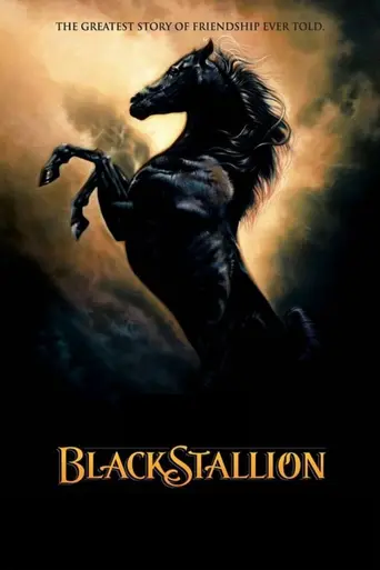 The Adventures of the Black Stallion (1990)