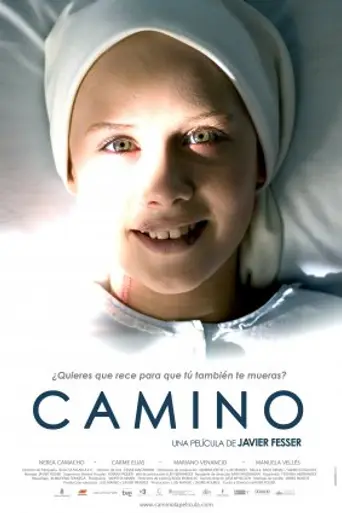 Дорога (2008)