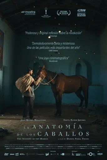 The Anatomy of the Horses (2025)