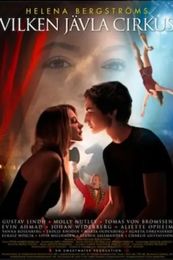 Mending Hugo's Heart (2017)