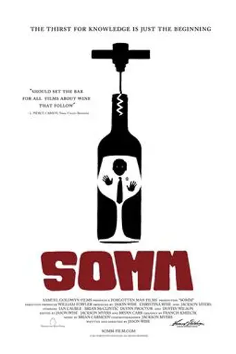 SOMM (2013)