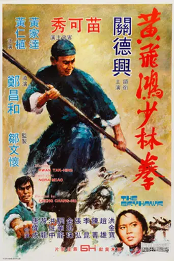 The Skyhawk (1974)