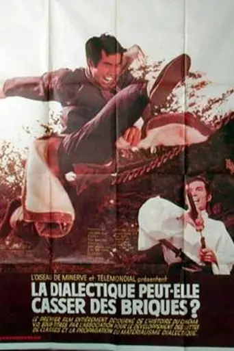 Может ли диалектика разбивать кирпичи? (1973)