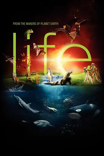 BBC: Жизнь (2009)