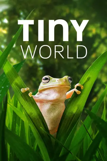 Tiny World — Temporada 1