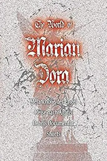 Debris documentar (2003)