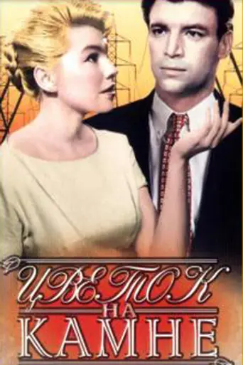 Flower on the Stone (1962)