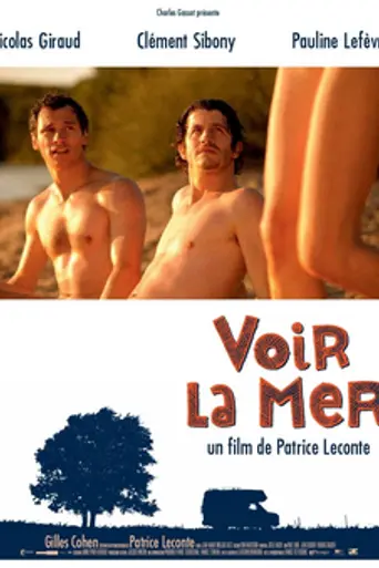 Voir la mer (2011)