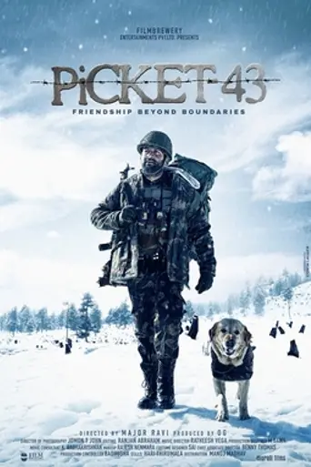 Picket 43 (2014)