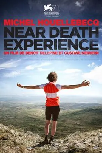 Near Death Experience (2014)