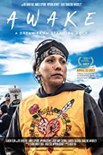 Awake, a Dream from Standing Rock (2017)