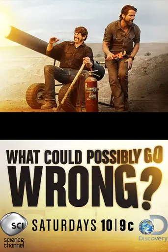 What Could Possibly Go Wrong? (2015)